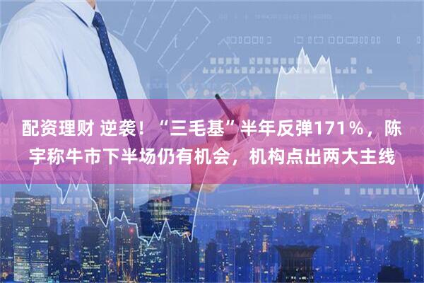 配资理财 逆袭！“三毛基”半年反弹171％，陈宇称牛市下半场仍有机会，机构点出两大主线